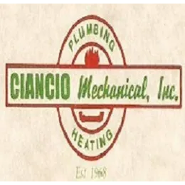 Ciancio Mechanical Picture 1
