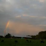 Alvin Bodine Construction & Plumbing