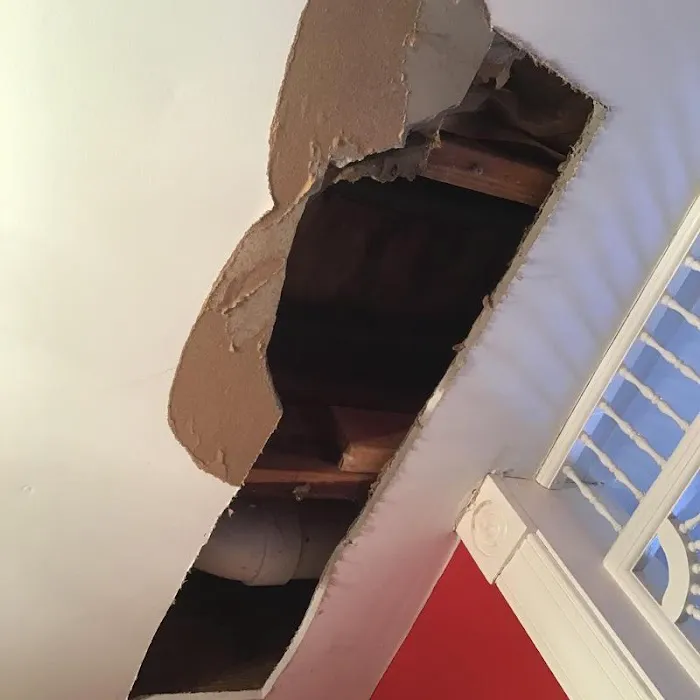 Roto Rooter Plumbing and Drain Picture 3