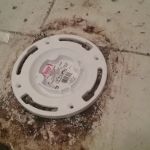 Hocienic Plumbing