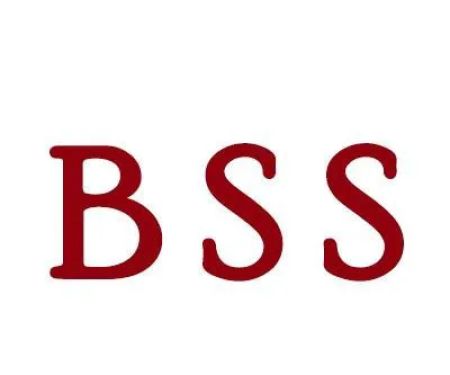 Bud Sewer Service Inc