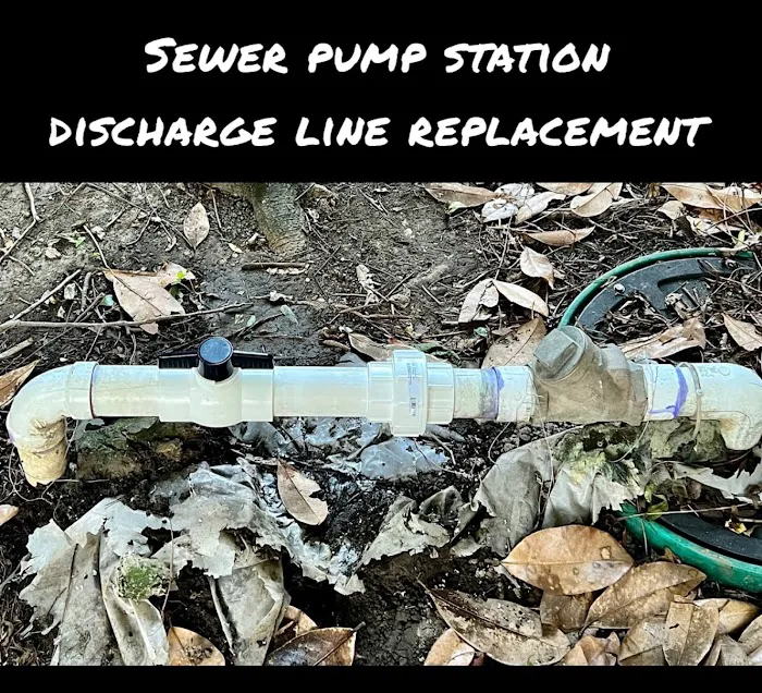 Roto-Rooter Plumbing & Drain Service Picture 3