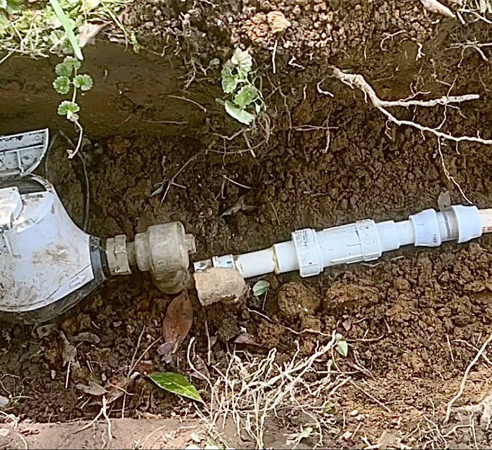 Roto-Rooter Plumbing & Drain Service Picture 6