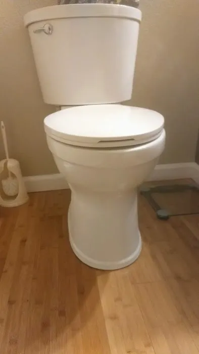 Absolute Plumbing Contractor LLC Picture 1