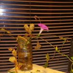 North Davidson Plumbing