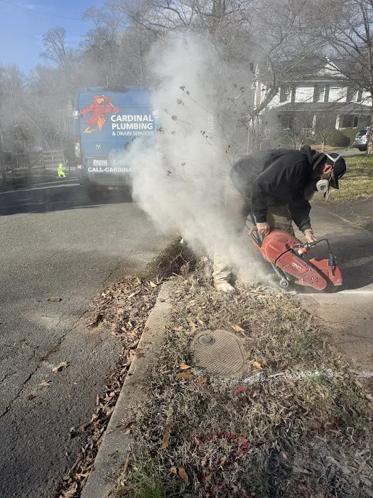 Cardinal Plumbing & Drain Services - 24 Hours Emergency Plumbers Kernersville NC Picture 9