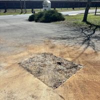 Bama Leak Detection LLC ico