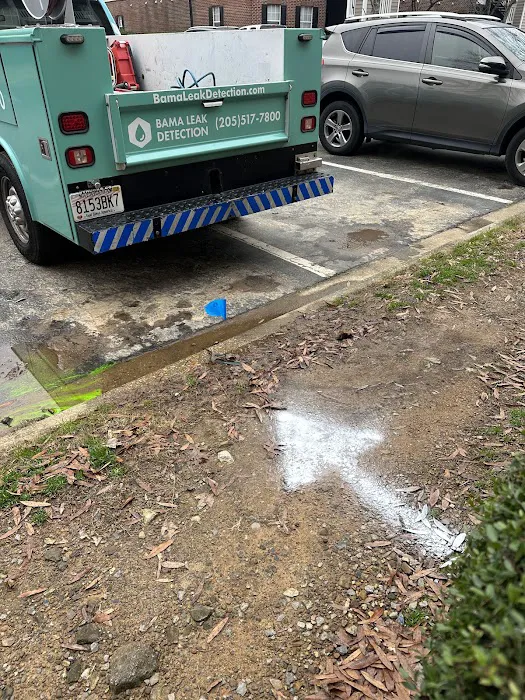 Bama Leak Detection LLC Picture 8