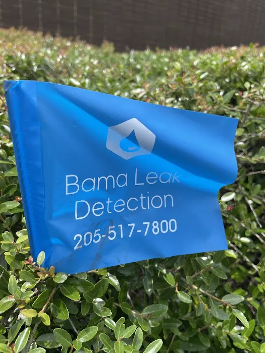 Bama Leak Detection LLC Picture 5
