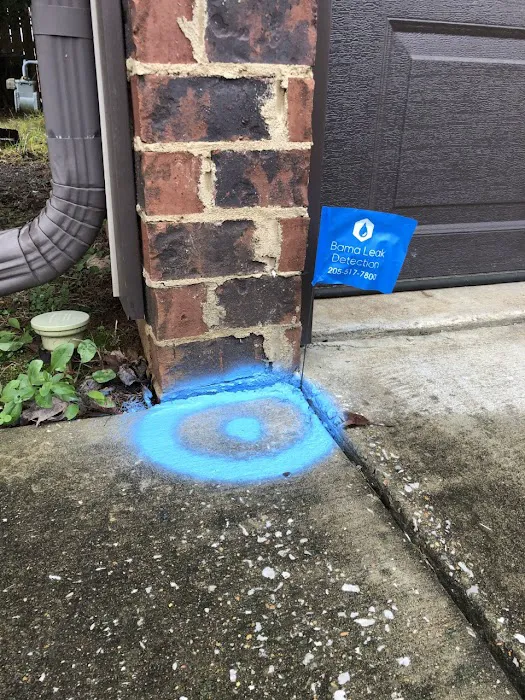 Bama Leak Detection LLC Picture 3