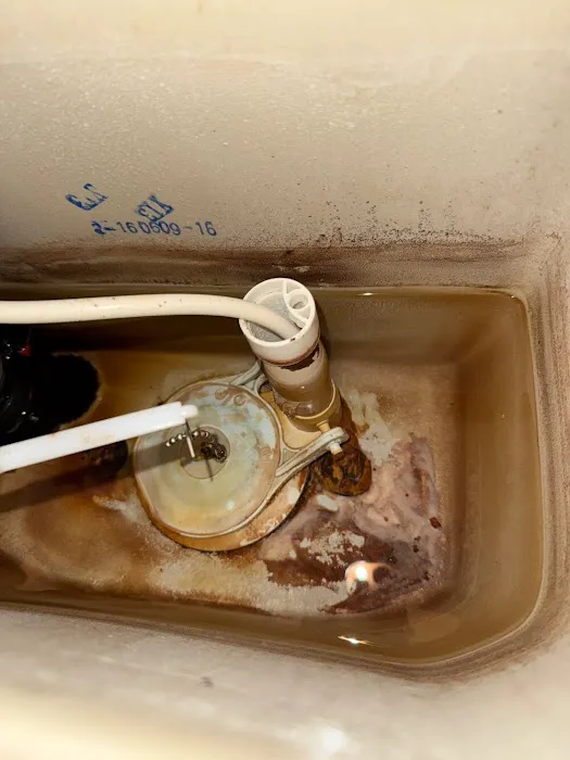 1-Tom-Plumber Picture 4