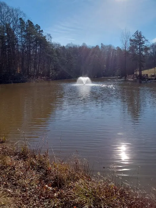 Zoom Drain Picture 3