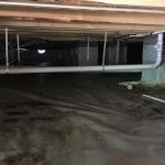 Plumbing Shoppe