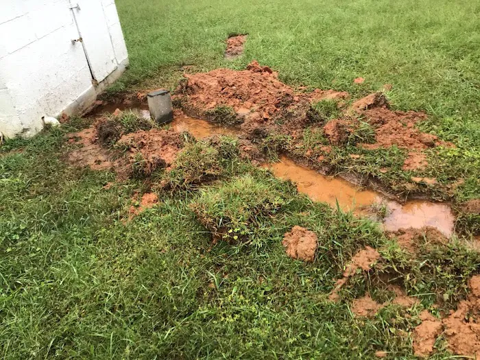Roto-Rooter Plumbing, Drain, & Water Cleanup Service Picture 5