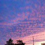 Karthaus Burnside Joint Sewer