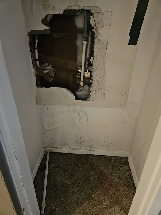 Plumb One Picture 3