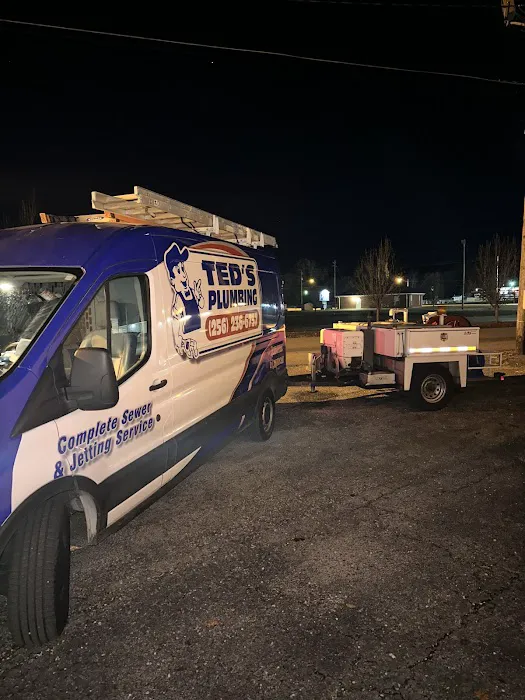 Ted's Plumbing Picture 3