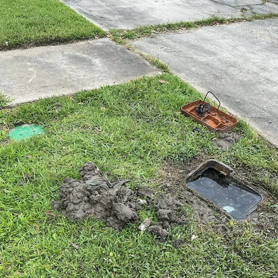 Everyone Needs Plumbing and Service Picture 10