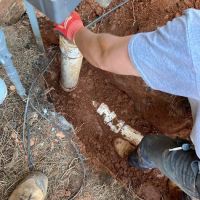 Serv'All Plumbing & Rooter Service ico