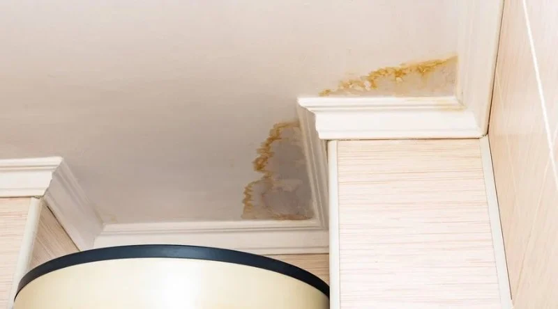 How to Locate Hidden Water Leaks in Walls or Ceilings: Tips for Homeowners