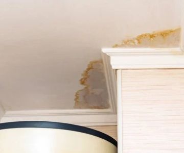 How to Locate Hidden Water Leaks in Walls or Ceilings: Tips for Homeowners