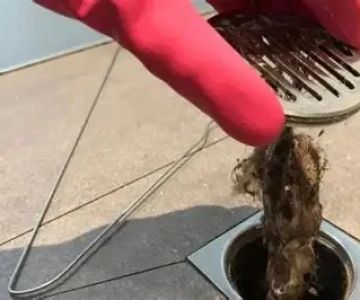 How to Repair a Hairball Clog Without Harsh Chemicals