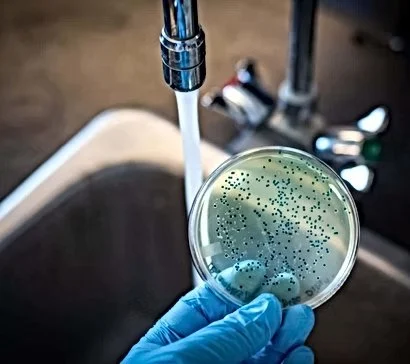 How to Test for Bacteria in Household Water Supply