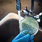 How to Test for Bacteria in Household Water Supply