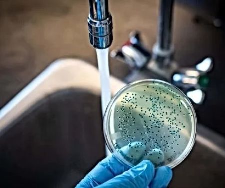How to Test for Bacteria in Household Water Supply