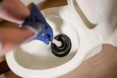 Steps to Unclog a Toilet That Won’t Flush Properly