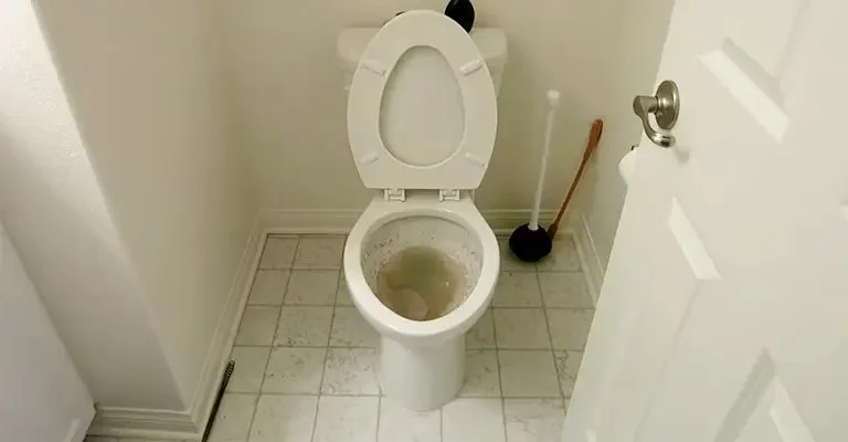 What to Do If Your Toilet Is Overflowing: Quick Steps to Take
