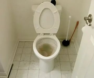 What to Do If Your Toilet Is Overflowing: Quick Steps to Take