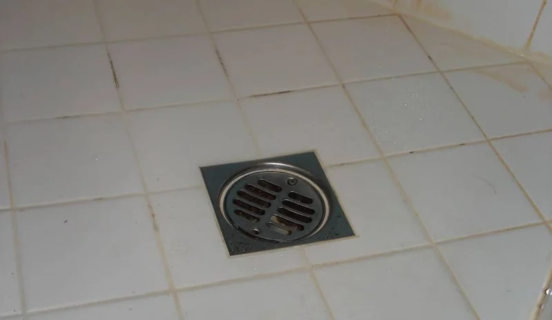 Why Water Bubbles Up Through the Floor Drain: Causes and Solutions
