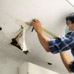How to Detect and Repair Water Leaks in Your Home’s Walls