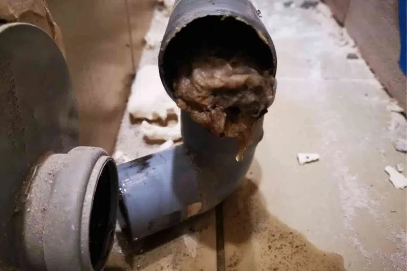 Why Your Sewer Line Is Clogged and How to Fix It