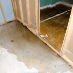 How to Prevent Sewer Backups and Protect Your Home from Flooding