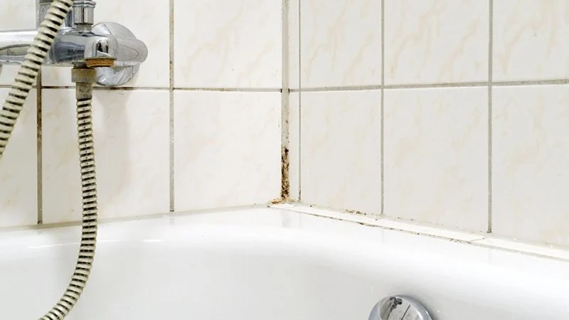 What to Do if You Discover Mold in Your Bathroom Due to Plumbing Leaks