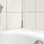 What to Do if You Discover Mold in Your Bathroom Due to Plumbing Leaks