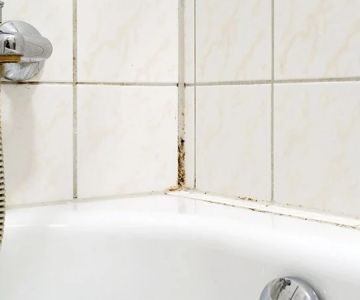 What to Do if You Discover Mold in Your Bathroom Due to Plumbing Leaks