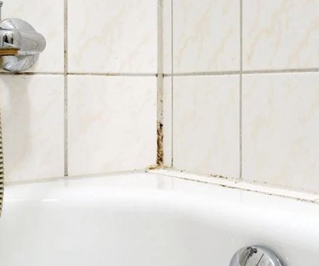 What to Do if You Discover Mold in Your Bathroom Due to Plumbing Leaks