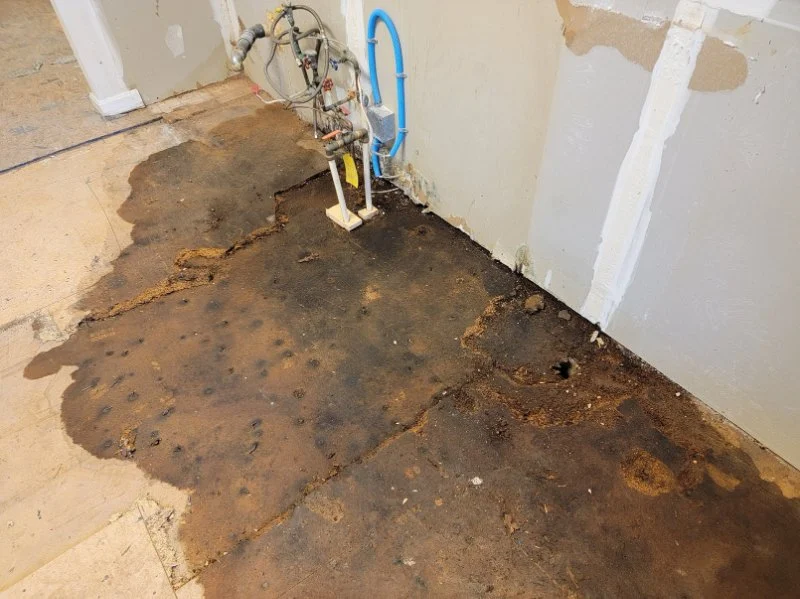 How to Spot a Hidden Water Leak and Fix It Early