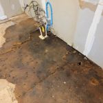 How to Spot a Hidden Water Leak and Fix It Early