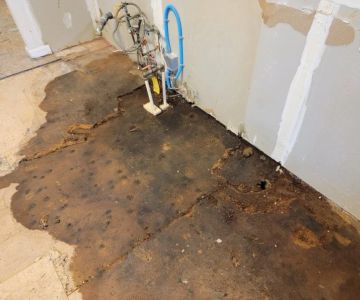 How to Spot a Hidden Water Leak and Fix It Early