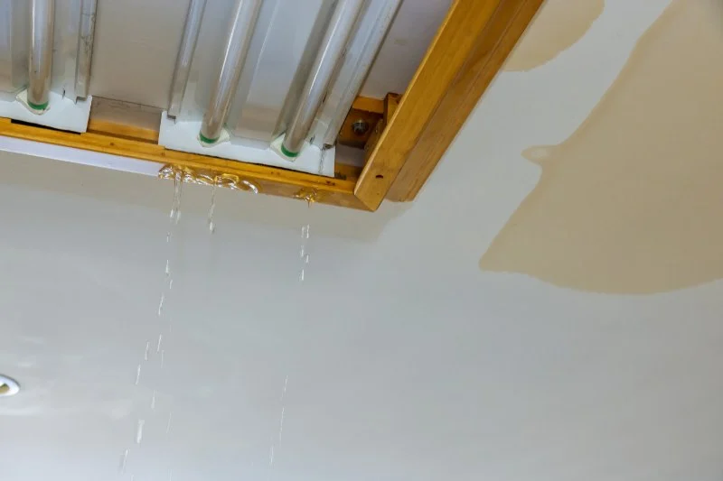 How to Prevent Water Damage in Your Home With Regular Plumbing Inspections
