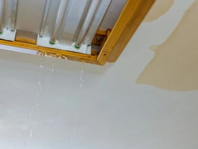 How to Prevent Water Damage in Your Home With Regular Plumbing Inspections